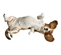 Sandicast Mid Size Basset Hound Sculpture, Lying Back