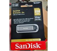 SanDisk Extreme Go USB flash drive 256 GB USB Type-A 3.2 Gen 1 (3.1 Gen 1) Stainless steel