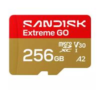 SanDisk Extreme GO 256 GB MicroSDXC UHS-I