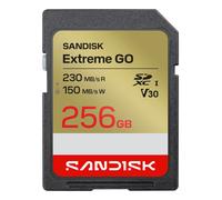 SanDisk Extreme GO 256 GB SDXC UHS-I