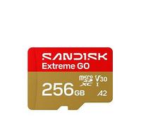 SanDisk 256 GB Class 10/UHS-I (U3) V30 microSDXC