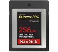 SANDISK Extreme PRO CFexpress Memory Card - 256 GB