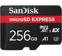 SanDisk Express 256 GB MicroSDXC UHS-I