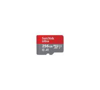 Sandisk microSD Ultra Class 10 (No Adapter) (256GB, SDSQUNR-256G-GN3MN)