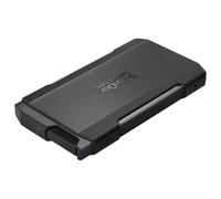 SanDisk Professional SSD Pro Blade Transport Type C 2TB