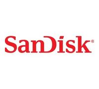 SanDisk SDSDXW2-064G-GNCIN memory card 64 GB SDXC Class 10