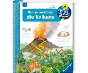 Sandra Noa Silke Voigt Sonja Szylowicki JU Wir erforschen die Vulkan (Audiobook)