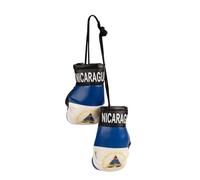 SandT Collection Country Flag Mini Boxing Gloves - Hanging Punching Gloves, Nicaragua, S