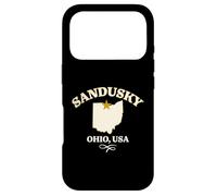 Sandusky Ohio Design Case for iPhone 17 Pro