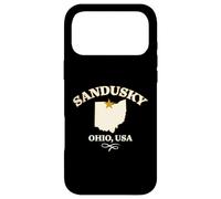 Sandusky Ohio Design Case for iPhone 17 Pro Max