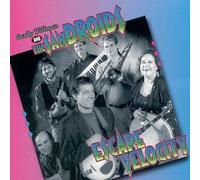 Sandy Weltman & Sandroids - Escape Velocity