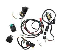 Sanfiyya Complete Wiring Harness Kit,CDI Compatible 50cc 70cc 90cc 110 125 4 Stroke ATV Dirt Bike Moped Quad Go Kart Scooter Electrics Stator Coil CDI Ignition Coil