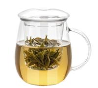 Sanfoelek Mushroom - 17oz Borosilicate Glass Tea Cup with Infuser & Lid, Transparent Design for Loose Leaf, Blooming Tea & Tea Bags