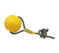 SanfoelekStarmark Swing & Fling Fetch Ball Dog Toy- Large
