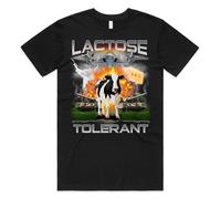 Sanfran Clothing Lactose Tolerant Top Funny Meme Milk Cheese Diet Gym Workout Gift Unisex T-Shirt 4XL / Black