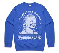 Sanfran Clothing Walking In A Winter WondHAALAND Top Christmas Xmas Man Wonderland Haaland Football Norway City Jumper Sweater Extra Large/Royal Blue