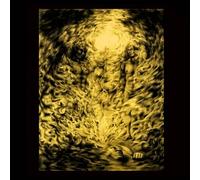 Sanguine Eagle - Shores of Avarice