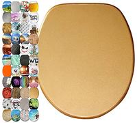 Sanilo Soft Close Toilet Seat with Quick Release, Toilet Lid Detachable at the Press of a Button, Easy Installation from Above (Glittering Gold)