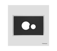 Sanit Push Plate SK706 Plastic Flush-Mounted Bicolor