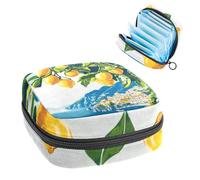 Sanitary Napkin Storage Bag, Aesthetic Italian Summer Coast Lemon Branch Portable Menstrual Pad Bag, Panty Liners Tampons Sanitary Pads Storage Holder for Women School Office