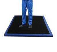 Sanitizing Foot Mat, Sole Disinfecting Mat, Sanitizing Foot Mat, Highly Absorptive Sponge Entrance Mat, Anti-Skid Rug Doormat, for Animal Husbandry, Hospital, Laboratory, Indoor/Ou