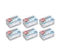 Sanitral 300 Pcs Dental Floss Picks (6 x 50) with Clear Hygienic Cases - 2-in-1 Disposable Toothpicks for Teeth Cleaning