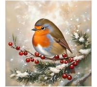 Sanjee Diamond Painting Kits Bird for Adults, Animal Diamond Art Kits for Beginner, Diamond Dots Paintings 5D DIY Round Full Gem Art Crafts for Home Wall Decor Gift, 12 × 12 Inches