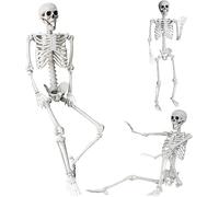 sanjianke-fs 5.4Ft/165cm Halloween Skeleton Full Body Life Size Human Bones with Movable Joints for Indoor Outdoor Halloween Props Decorations