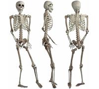 sanjianke-fs Halloween Decoration Skeleton Poseable Decoration Life Size 170cm Party Prop Graveyard Bones