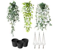 SanKristo 3PCS Artificial Hanging Plants, Datura Leaf, Pea leaf, Eucalyptus Hanging Potted Plant with Jute Rope Basket, Home Decor Faux Leaves Plastic Greenery for Indoor Outdoor, Height 55cm-87cm