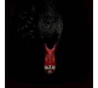 Sankt Otten + Majeure - Männerfreundschaften Und Metaphysik