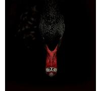 Sankt Otten + Majeure - Männerfreundschaften Und Metaphysik [VINYL]