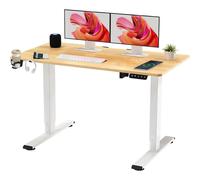 SANODESK QS+110 * 60 Electric Standing Desk ONE PIECE Desktop Height Adjustable Standing Desk
