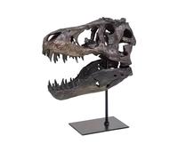 SANON Dinosaur Head Statue, Bone Sculpture with Stand Resin Skull Model Dinosaur Replica Dinosaur Skull Sculpture for Photography Props Teaching Tool Home Ornament, Brown