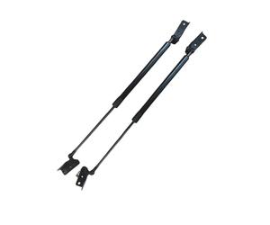 SANSHAOWUDI 2Pcs Car Rear Tailgate Boot Gas Struts for Infiniti FX35FX45 2002-2008, Auto Tailgate Lifter Lift Support System Shock Lift Support Arm Left and Right Strut Easy To Install,90452-CL00A