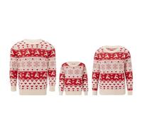 SANSIWU Family Matching Christmas Sweater Long Sleeve Crew Neck Cartoon Elk Knitted Pullover Winter Xmas Adult Kids Sweater Clothes (Men, L, Khaki H)