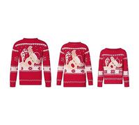 SANSIWU Family Matching Christmas Sweater Long Sleeve Crew Neck Cartoon Elk Knitted Pullover Winter Xmas Adult Kids Sweater Clothes (Kid, 2-3 Years, A-Red)