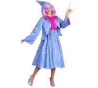 SANSIWU Party Fashion Fairy Godmother Costume For Women Cinderella Fairy Godmother Cosplay Costume Adult Girls (Blue, L)