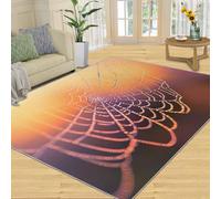 SANSJI Sunset Rugs for Bedroom Spider Web Rugs for Living Room, Nature Insects Carpet, Indoor Washable Rug, Non Slip & Low Pile Area Rug & Home Decor 180x200
