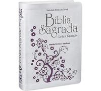 Santa Bíblia Letra Grande / Large Print (Portuguese Edition)