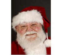 Santa Claus Half Moon Father Christmas Festive Fancy Dress Cosplay Glasses