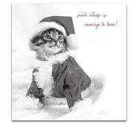 Santa Claws Christmas Card