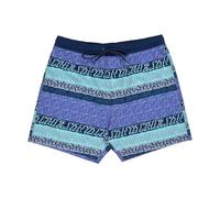 Santa Cruz Mens Heights Swim Shorts - Winkowski Vertigo - M