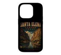 Santa Elena Canyon Texas Big Bend Vintage Desert Case for iPhone 14 Pro