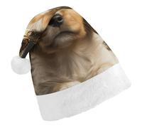Santa Hats for Adult Puppy with A Crown Christmas Hats Holiday Xmas Hat Christmas Party Hat for Xmas Gifts New Year Festive Holiday Gifts Child