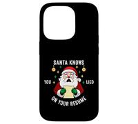 Santa Knows You Lied On Your Resume Funny Christmas Case for iPhone 14 Pro