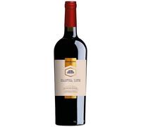 Santa Luz Carmenère Gran Reserva 75 cl - Rich Chilean Red - Blueberry, Damson & Dark Chocolate - Smoky Spice & Gentle Oak - Bold, Smooth & Vegan-Friendly - 14% ABV