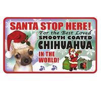Santa Stop Here Pet Sign - Smooth Coat Chihuahua