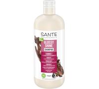 Sante Birch Radiant Shine Shampoo 500 ml