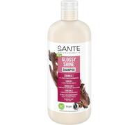 Sante-Naturkosmetik Hair-care ShampooGlossy Shine Shampoo